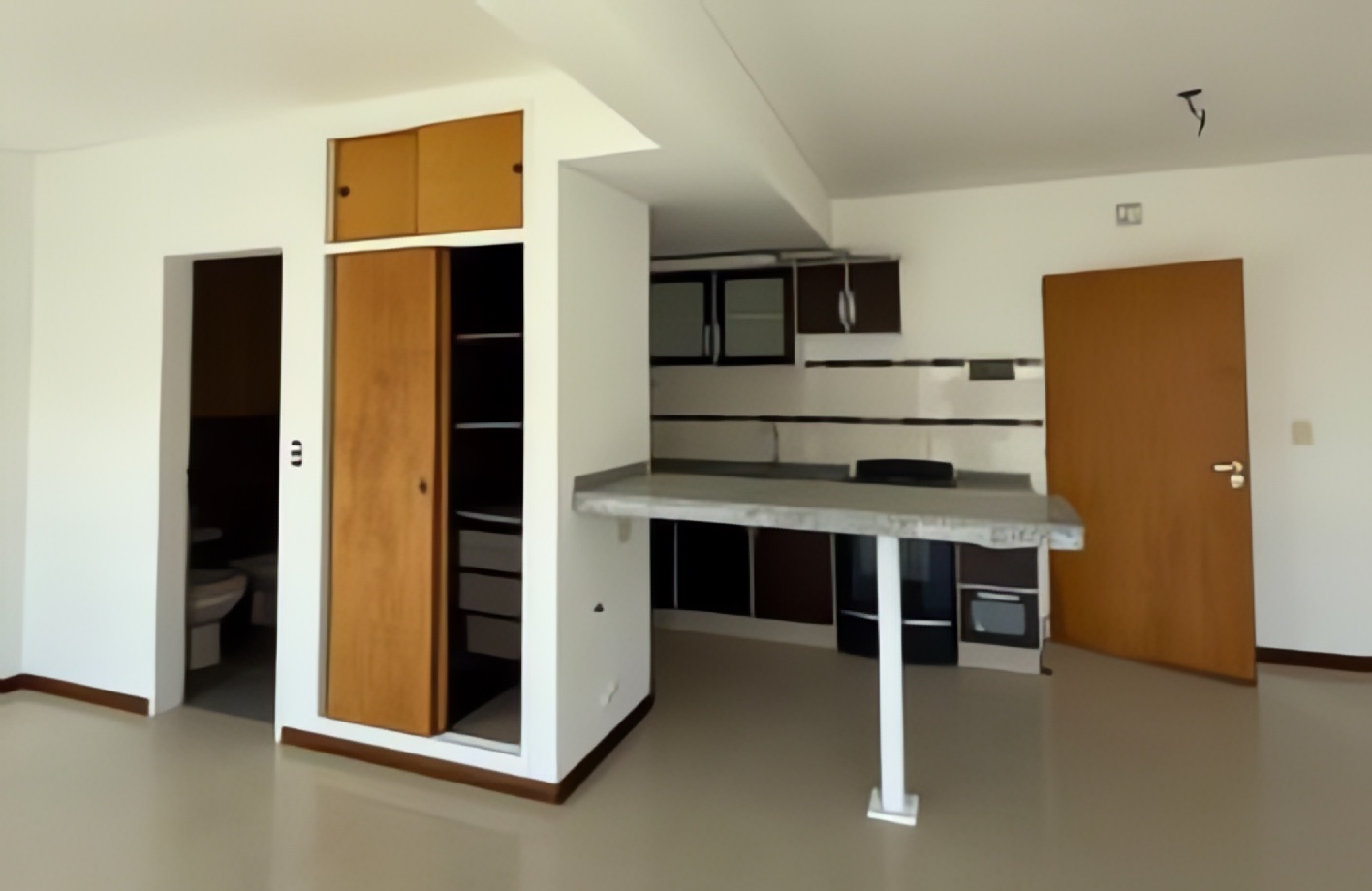 DEPARTAMENTO - MONOAMBIENTE - MITRE AL 1000